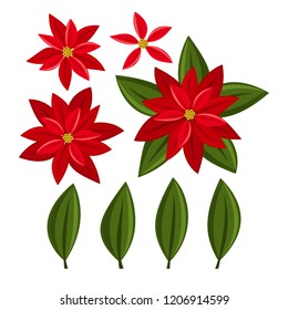 Christmas elements with set of red Poinsettia Christmas flower isolated on white background. Simple Christmas elements design for winter holidays greeting season. Vector illustration