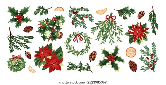 Christmas evergreen plants set. Vintage Xmas decoration, traditional decor: fir branch, pine wreath, twigs of spruce tree with cones, mistletoe. Flat isolated vector illustrations on white background