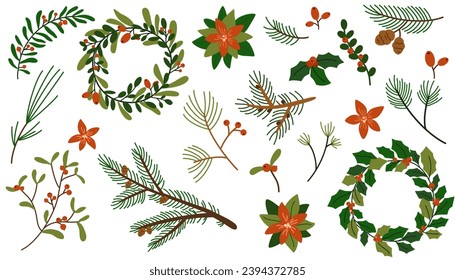 Christmas evergreen plants. Tree, fir, pine and cone, spruce twig, holly berries, leaves branches set. Winter plants. Christmas foliage twigs branches red berries. Nature botanical elements. Vector