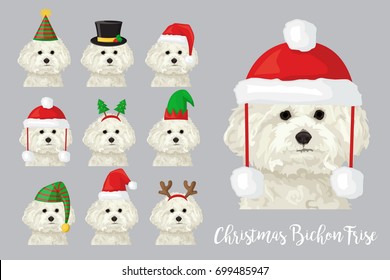 Christmas festive collection of cute bichon frise puppy dogs wearing celebration new year ornament hat and headband, santa hat, deer horn, fur tree, elf cap