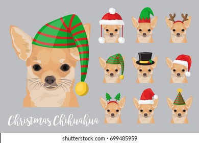 Christmas festive collection of cute chihuahua puppy dogs wearing celebration new year ornament hat and headband, santa hat, deer horn, fur tree, elf cap