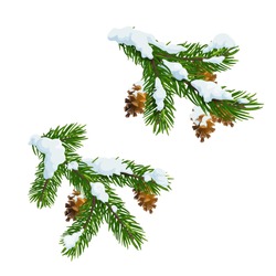 Christmas Fir And Pine Tree Branches Covered With Snow. Merry Christmas And Happy New Year Vector Xmas Tree Decoration With Cones And Snowflakes