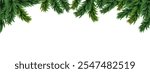 Christmas fir tree border. Blank holiday decoration background with space for design.