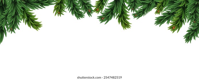 Christmas fir tree border. Blank holiday decoration background with space for design.