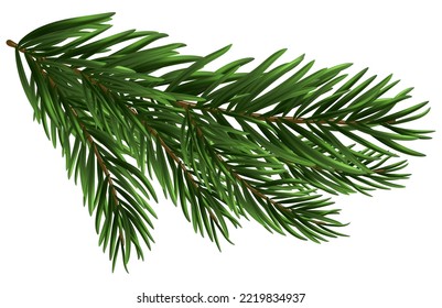 Christmas fir tree branch. Design element for the winter holidays, events, discounts, and sales. Vector illustration.