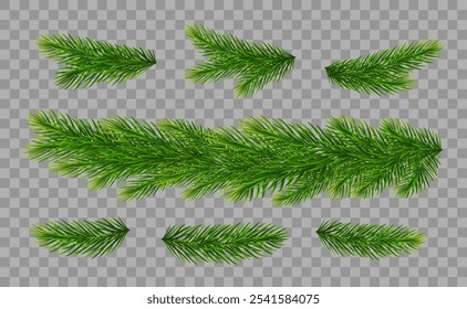 Christmas fir tree branches on transparent background. Pine, spruce green branches and border for Christmas decorations. Vector illustration