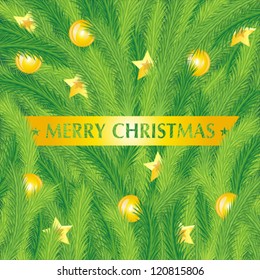 Christmas fir tree texture with