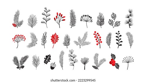 Christmas fir and tree vector icon, winter pine branch spruce and leaf, holly twig, evergreen plant, mistletoe, acorn isolated on white background. Xmas nature illustration