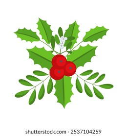 Christmas floral border. Spruce evergreen branch, poinsettia and holly berry. Winter holiday decoration for greeting cards, poster and templates. Flat cartoon vector sticker.