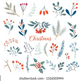 Christmas floral collection with winter decorative plants and flowers. Cute hand drawn in scandinavian style. Illustration of winter berries and Christmas tree branches.