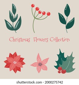 Christmas floral collection with winter decorative plants and flowers. Cute hand drawn in Scandinavian style.