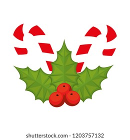 christmas floral decoration with sweet cane