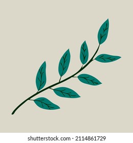 Christmas floral decorative elements for greeting cardsand and posters. Winter branch, berries, plants and floweres. Hand drawn vector illustration
