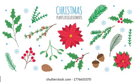 Christmas floral design elements set. Christmas design constructor. Poinsettia, mistletoe, fir, pine branches, holly berries, rowan berries, acorns. Vector illustrations.