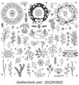 Christmas floral elements. Xmas hand drawn leaves, branches, holly berries and rowan doodle vector illustration set. Decorative Christmas floral symbols. Wreaths for house decoration, envelope