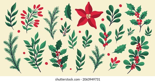 Christmas floral plant set.New year 2021 collection branch leaf.Decoration botanical design.Vector illustration.