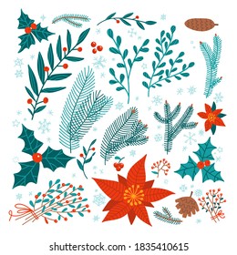 Christmas floral set of design elements - poinsettia , holly, pine tree branches, mistletoe, branch bunch. Winter plants and flowers. Vector flat illustation. Cozy Xmas decoration isolated on white