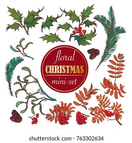 Christmas floral set. Set of popular christmas decorative plants. Accurate brightly painted hand drawings isolated on white background. EPS10 vector illustration.