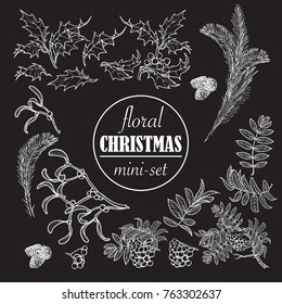 Christmas floral set. Set of popular christmas decorative plants. Accurate hand drawings isolated on black background. EPS10 vector illustration.