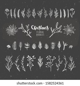 Christmas florals on chalkboard. Vector floral elements for winter holidays and seasonal decorations. White leaves, flowers, winter berries and pine branches. 