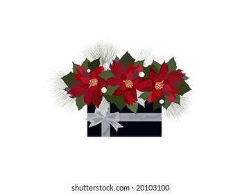 Christmas flower