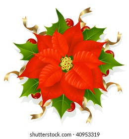Flor de Navidad