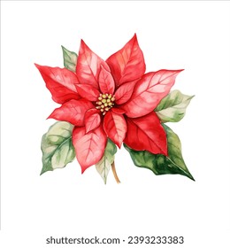 Christmas flower arrangement in watercolor style on white background