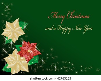 Christmas flower background - vector illustration