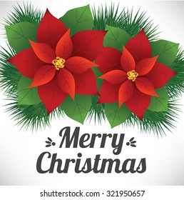 Christmas Flower Composition