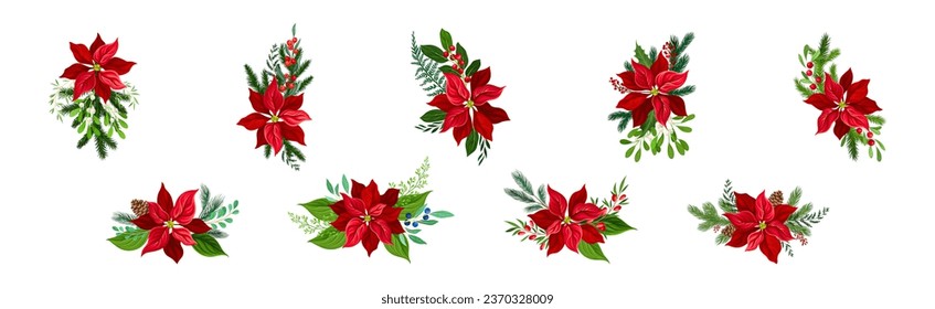 Christmas Flower Composition with Berry Twig and Branch Vector Set