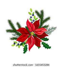 Christmas Flower Composition and Fir Tree Twigs   Blueberry Branch Vector Illustration