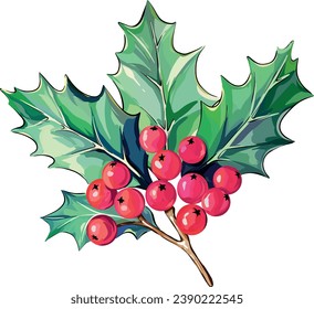 Christmas flower holly twig with berries and leaves. Vector illustration. Festive flower