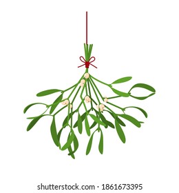 Christmas flower Mistletoe. Festive illustration with hanging sprigs of mistletoe with berries tied with a red thread isolated on white. Vector illustration