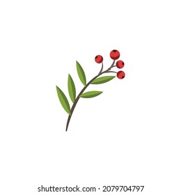 Christmas flower and ornament, red berry vector