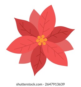 Christmas flower, Poinsettia, isolated on a white background. Colored icon, vector illustration. Christmas star, the symbol of Christmas.