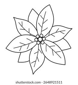 Christmas flower, Poinsettia, isolated on a white background. Outline drawing. Linear icon, vector illustration. Christmas star, the symbol of Christmas.