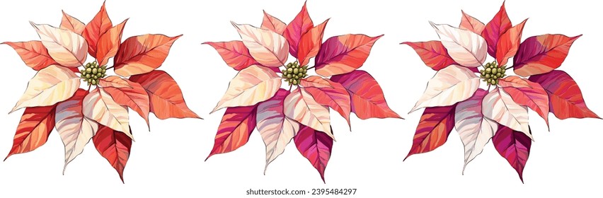 Christmas flower red poinsettia. Vector illustration. Festive flower