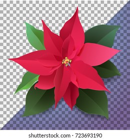 Christmas flower in the style of carved paper for the design of Christmas greetings