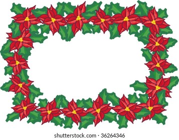 christmas flowers