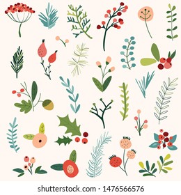 Christmas flowers in vector set