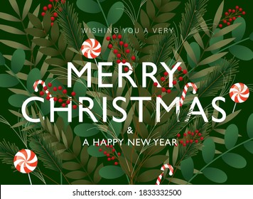 christmas foliage greetings design template vector/illustration