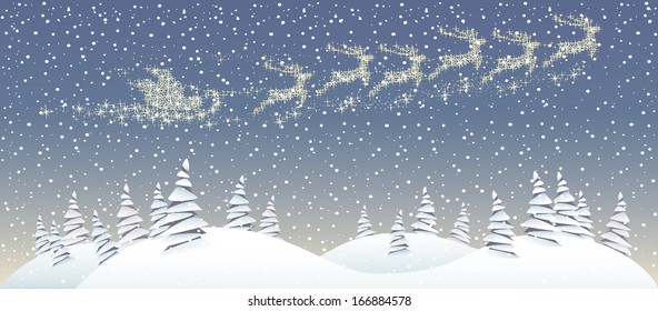 Christmas forest