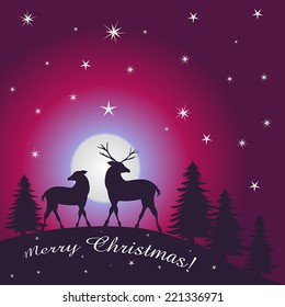 christmas in forest