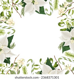 Christmas frame, border with white poinsettia flowers, rosemary, snowberry, candy canes, fir branches and mistletoe. Festive decor. Stock vector illustration on a white background.