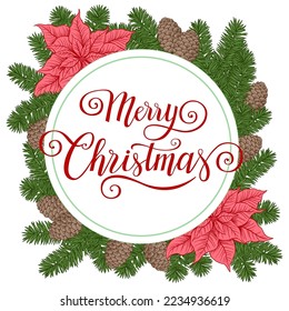 Christmas frame fir branches and cones  Poinsettia Christmas Star flower, hand written vector sketch vintage illustration. 