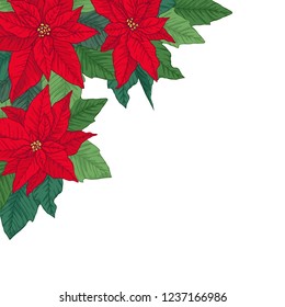 Christmas frame made of bright red poinsettia. Floral winter decoration. Vector objects on white background.
