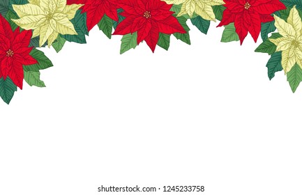 Christmas frame made of bright red and white poinsettia. Floral winter decoration. Vector objects on white background.