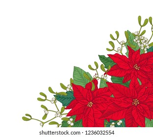 Christmas frame made of poinsettia, leaves and mistletoes. Floral winter decoration. Vector objects on white background.