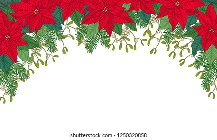 Christmas frame made of poinsettia, leaves, fir and mistletoes. Floral winter decoration. Vector objects on white background.