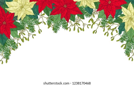 Christmas frame made of red and white poinsettia, leaves, fir and mistletoes. Floral winter decoration. Vector objects on white background.
